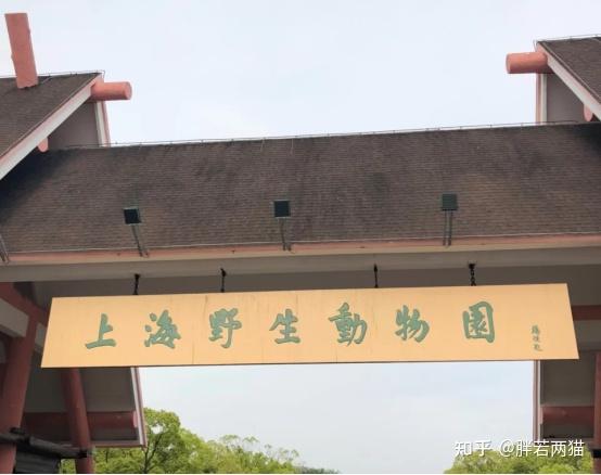 上海做网站建设的公司