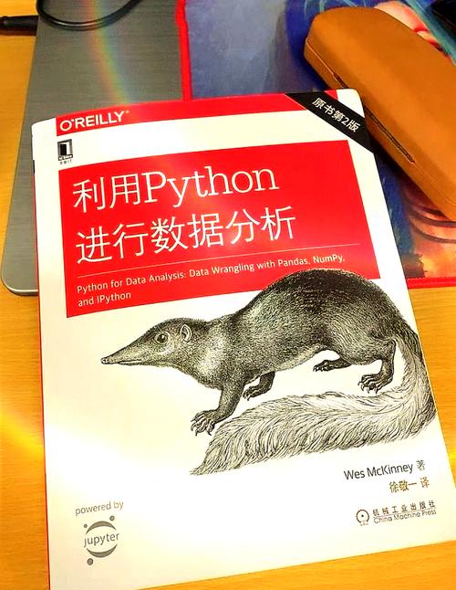 python做网站教程