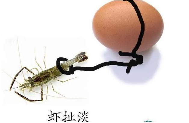做网站的预算