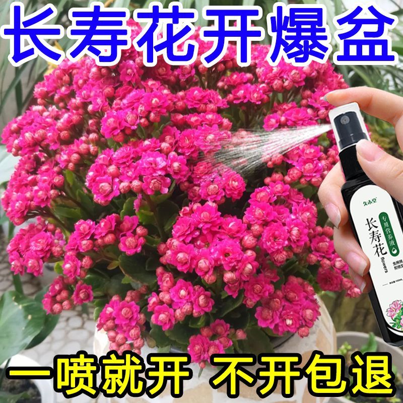 一般公司做网站多少钱