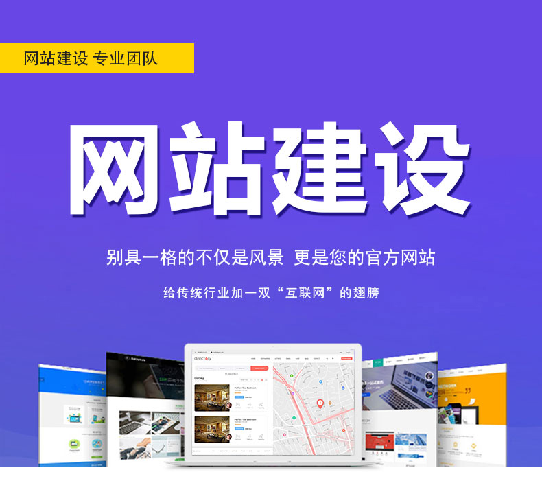 专业做网站