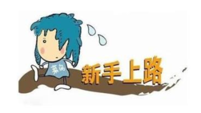 c语言做网站