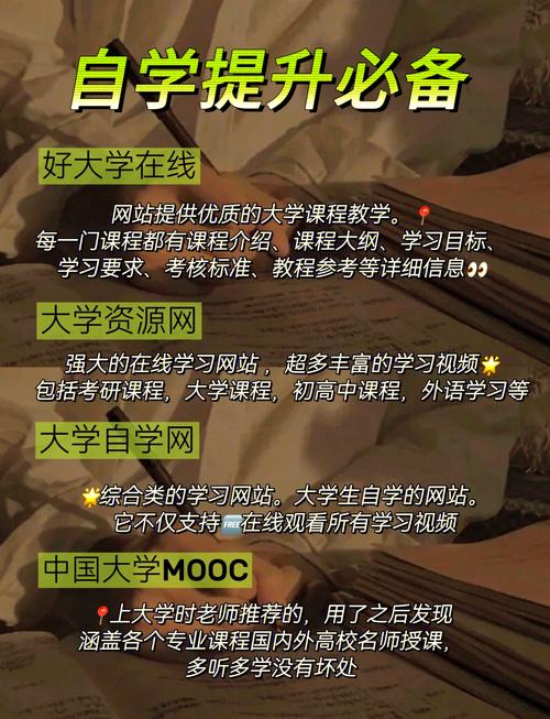 做网站需要做什么