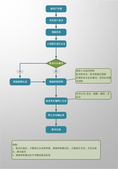 做网站需要做什么