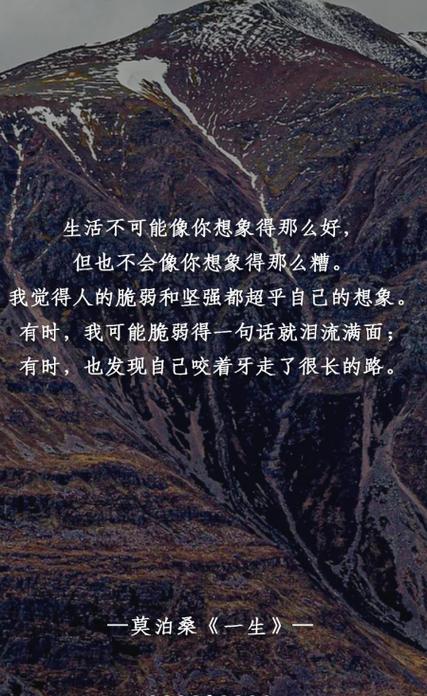 做网站用什么语言好