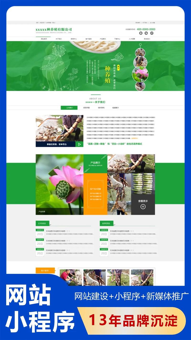 做网站一定要用cms吗