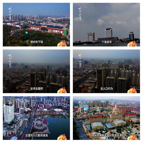 走进德州，探索德州市政府门户网站的精彩世界