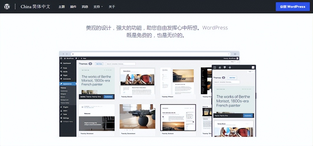 专业做网站建设