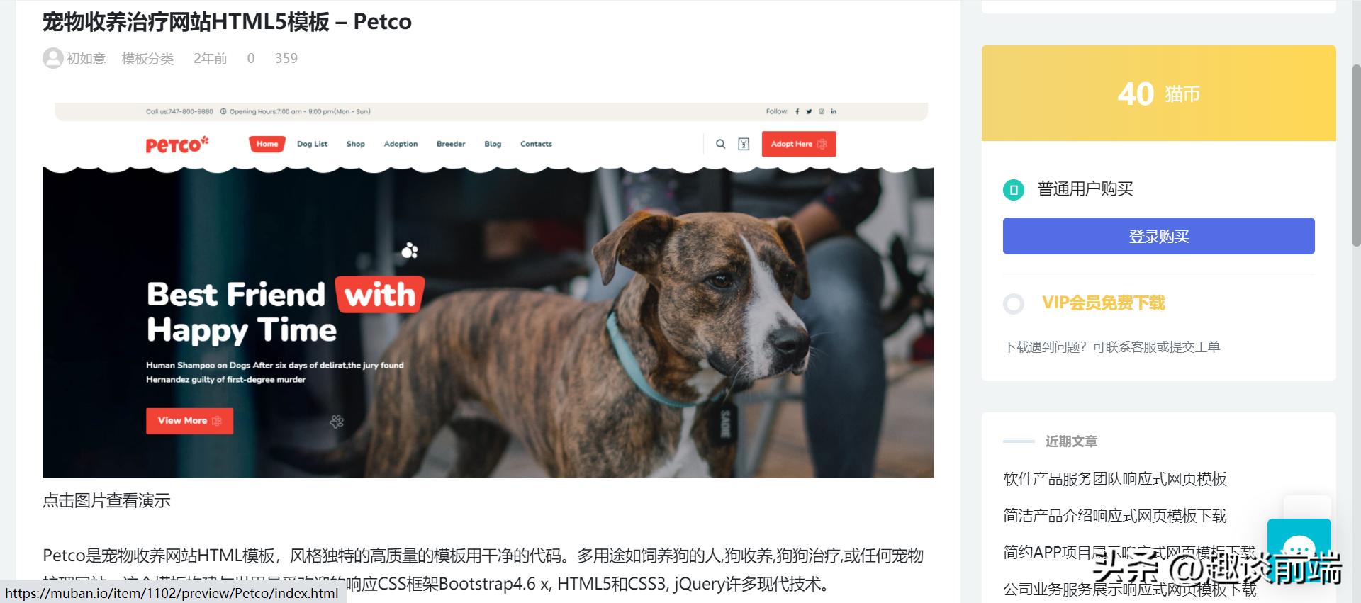 专业做网站建设