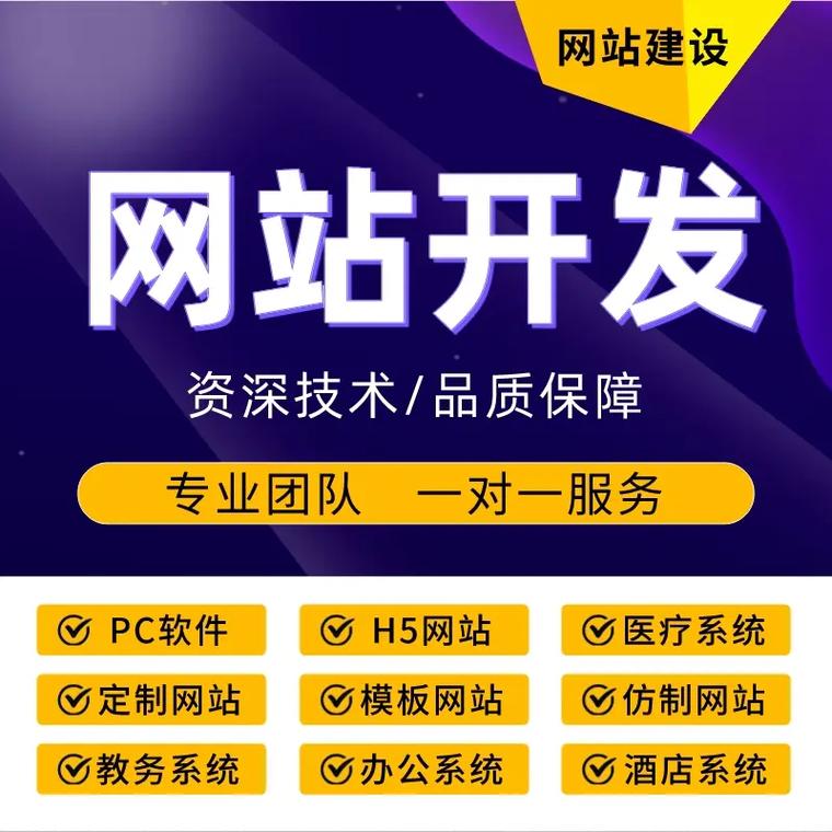 专业做网站建设