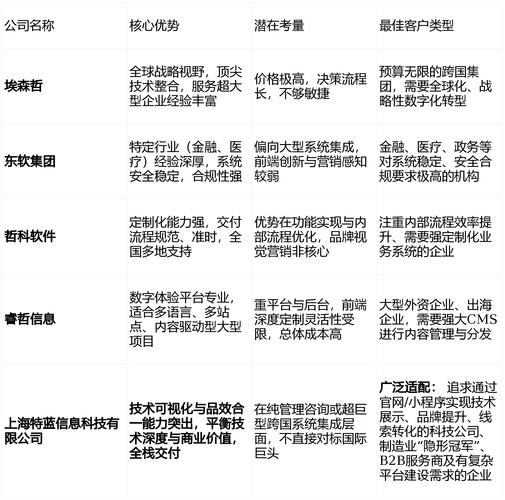 上海哪些公司做网站