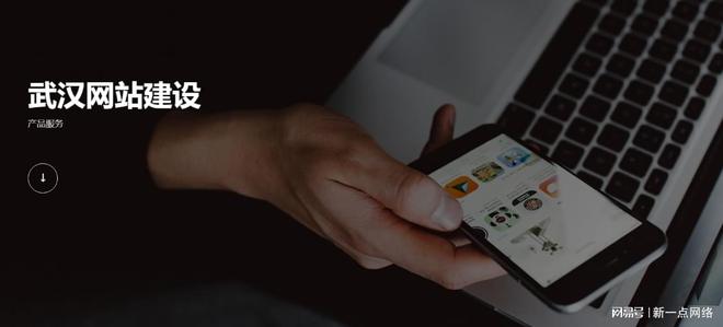 武汉专业做网站公司