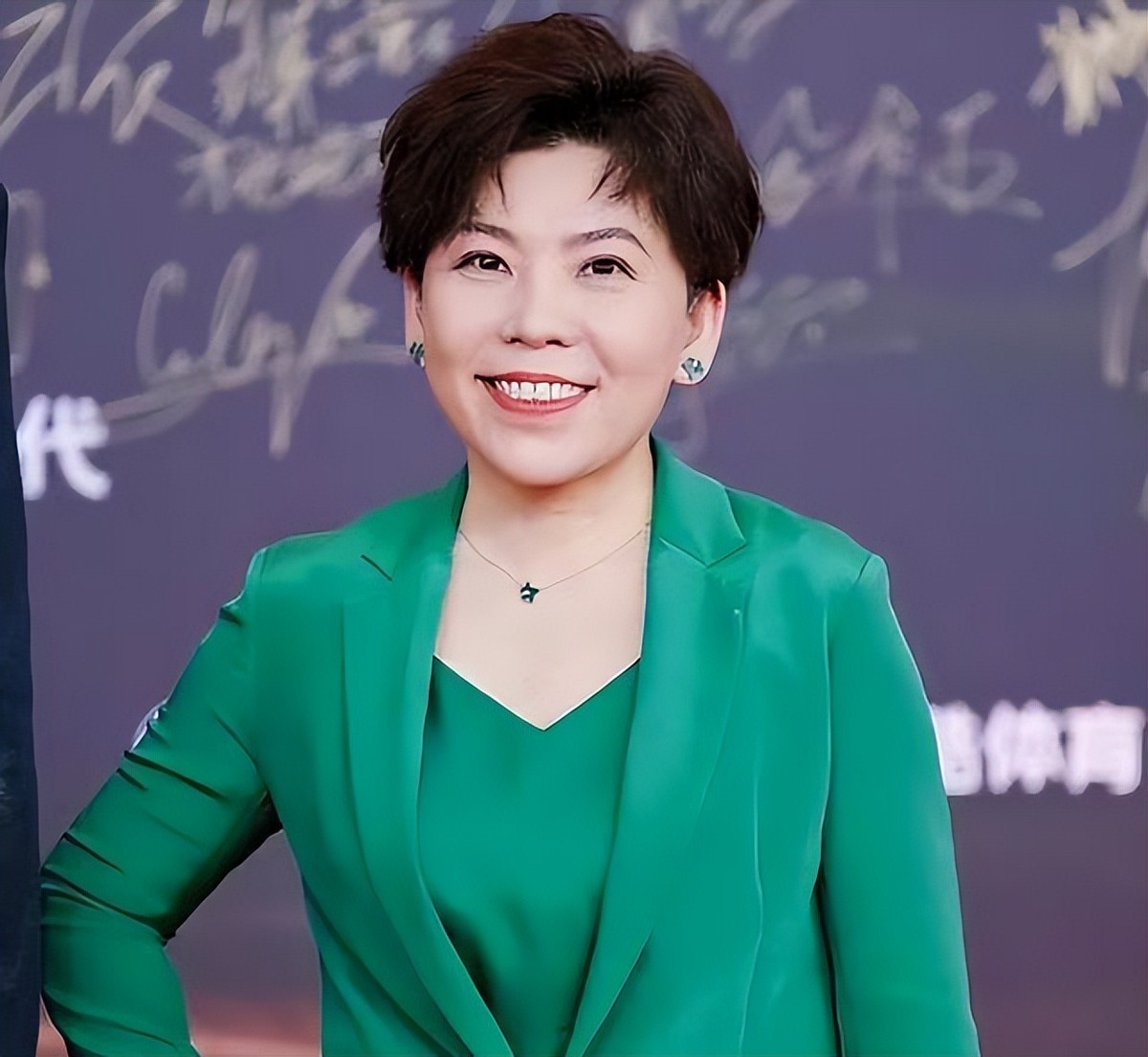 邓亚萍20亿做网站