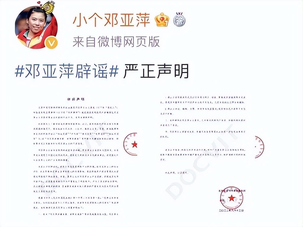 邓亚萍20亿做网站
