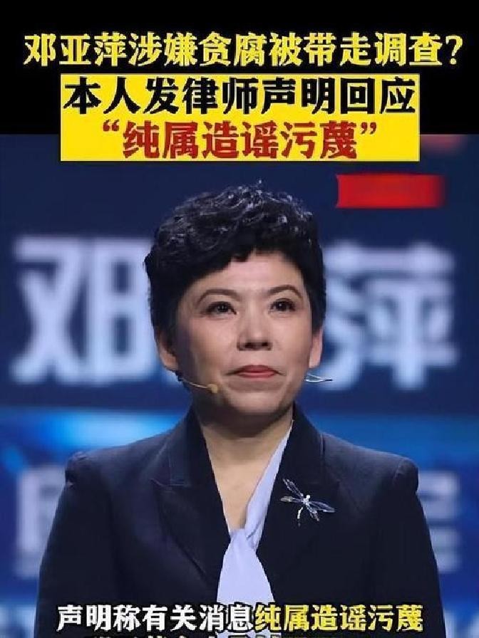邓亚萍20亿做网站