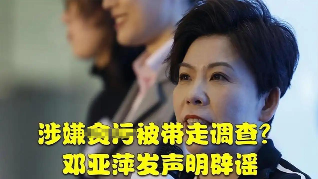 邓亚萍20亿做网站