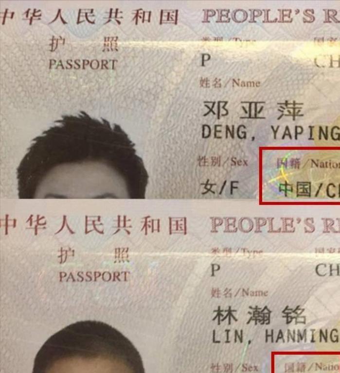 邓亚萍20亿做网站