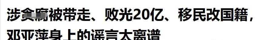 邓亚萍20亿做网站