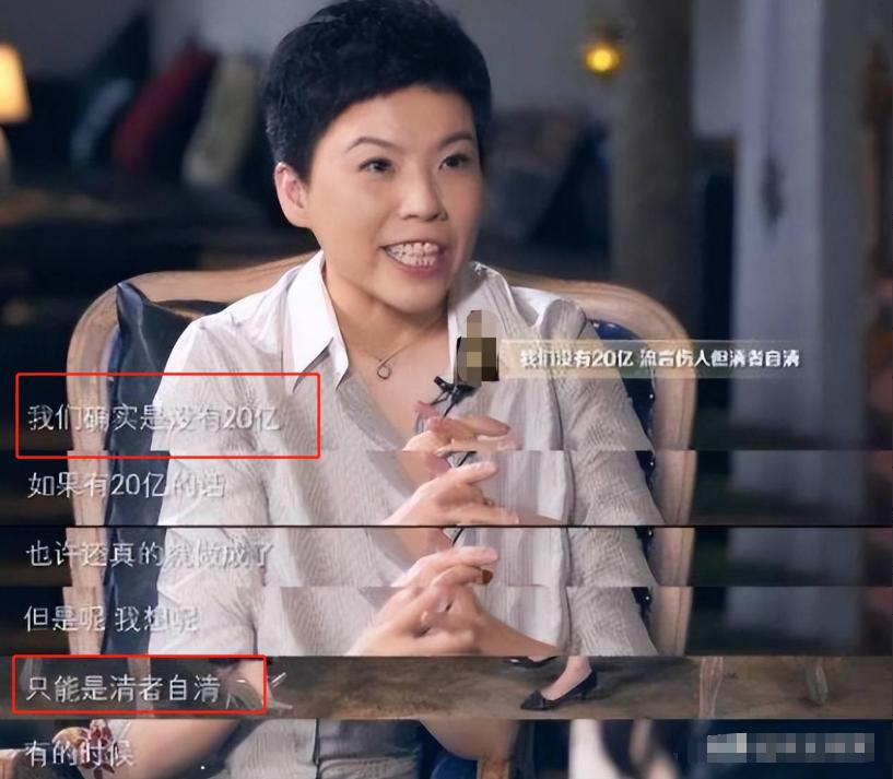 邓亚萍20亿做网站
