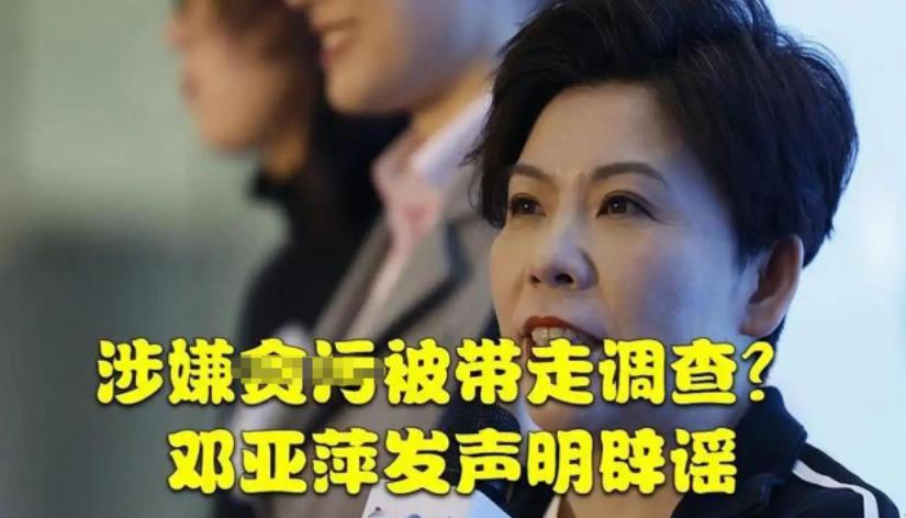 邓亚萍20亿做网站