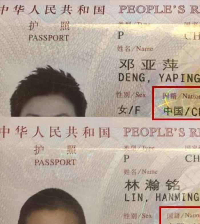邓亚萍20亿做网站