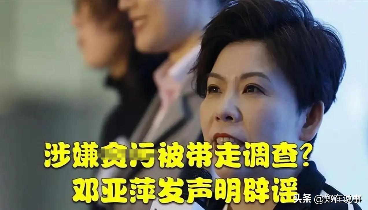 邓亚萍20亿做网站