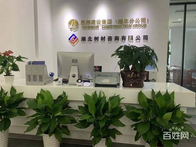 武汉做网站云优化科技
