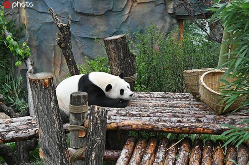 西宁做网站