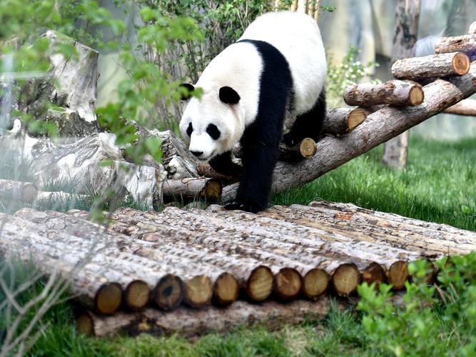 西宁做网站